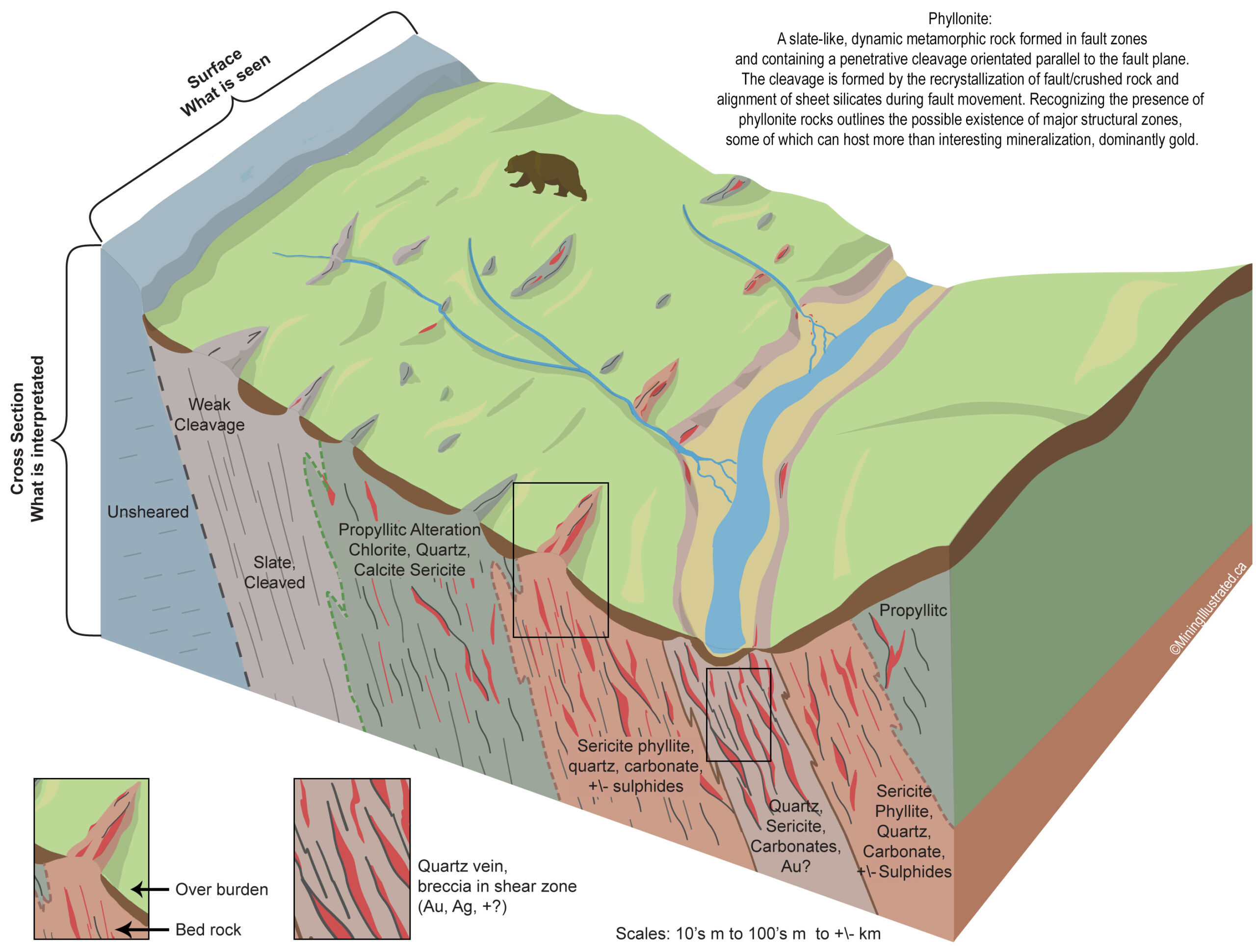 shear_revised